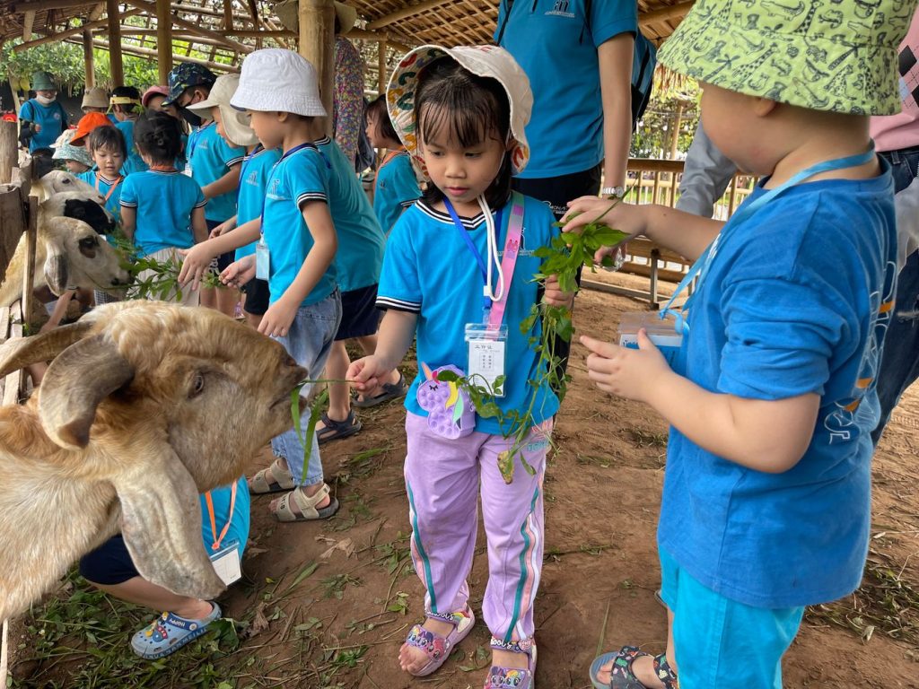 Tham quan dã ngoại Chimi Farm